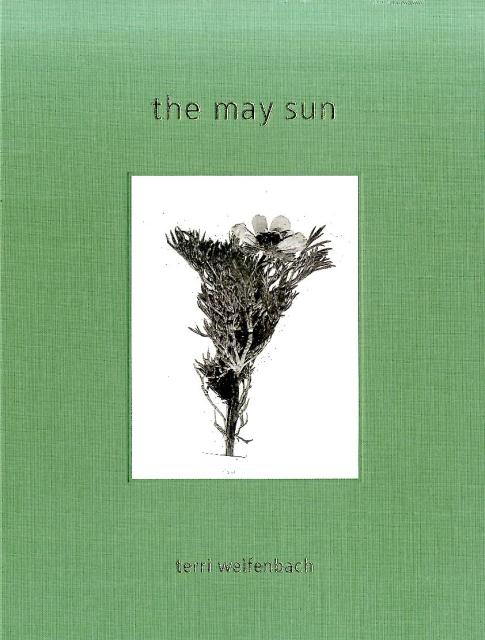 テリ　ワイフェンバック　the　may　sun