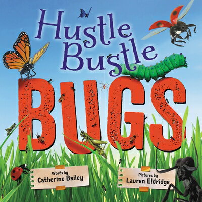 Hustle Bustle Bugs HUSTLE BUSTLE BUGS [ Catherine Bailey ]