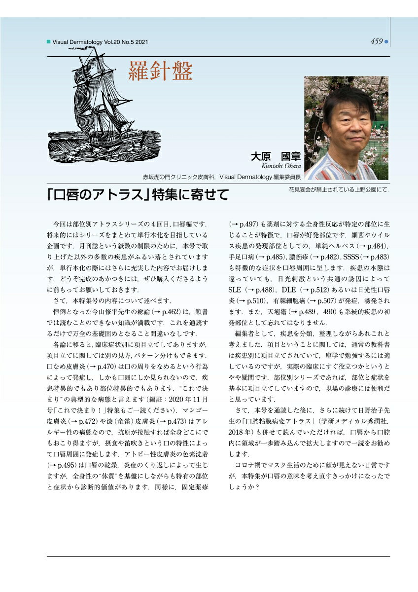 Visual D. 2021年5月号 Vol....の紹介画像2