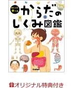 【楽天ブックス限定特典】からだのしくみ図鑑(ポスター)