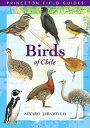 Birds of Chile BIRDS OF CHILE （Princeton Field Guides） 