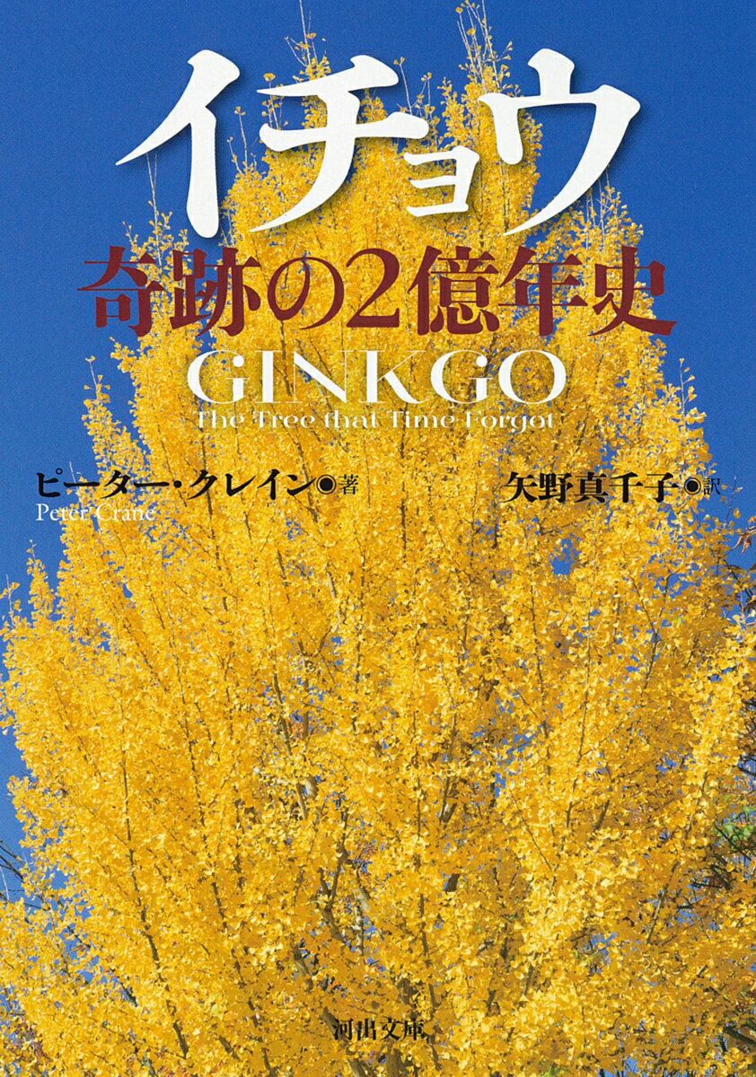 最初の人類が誕生する頃にはすでに絶滅寸前だった「生きた化石」イチョウ。しかし中国奥地で細々と生き延びたあと、十七世紀末に長崎の出島から悠久の命をつないで、ヨーロッパ、そして全世界に進出していった。科学を基本にしながら文化的な視点を織り交ぜた名著。植物とヒトとの数奇で壮大な物語。