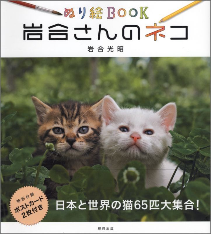 日本と世界の猫６５匹大集合！