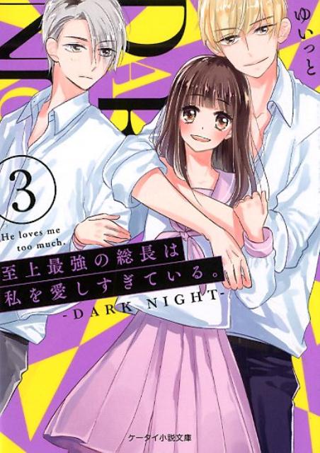 至上最強の総長は私を愛しすぎている。〜DARK NIGHT〜3