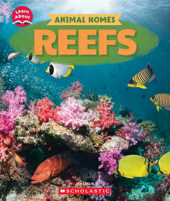 Reefs (Learn About: Animal Homes) REEFS (LEARN ABT ANIMAL HOMES) （Learn about） [ Jay Leslie ]