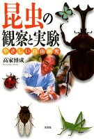 昆虫の観察と実験