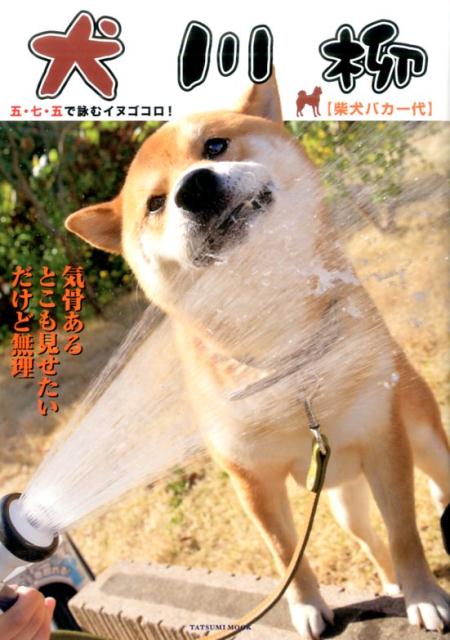 犬川柳 [柴犬バカ一代]