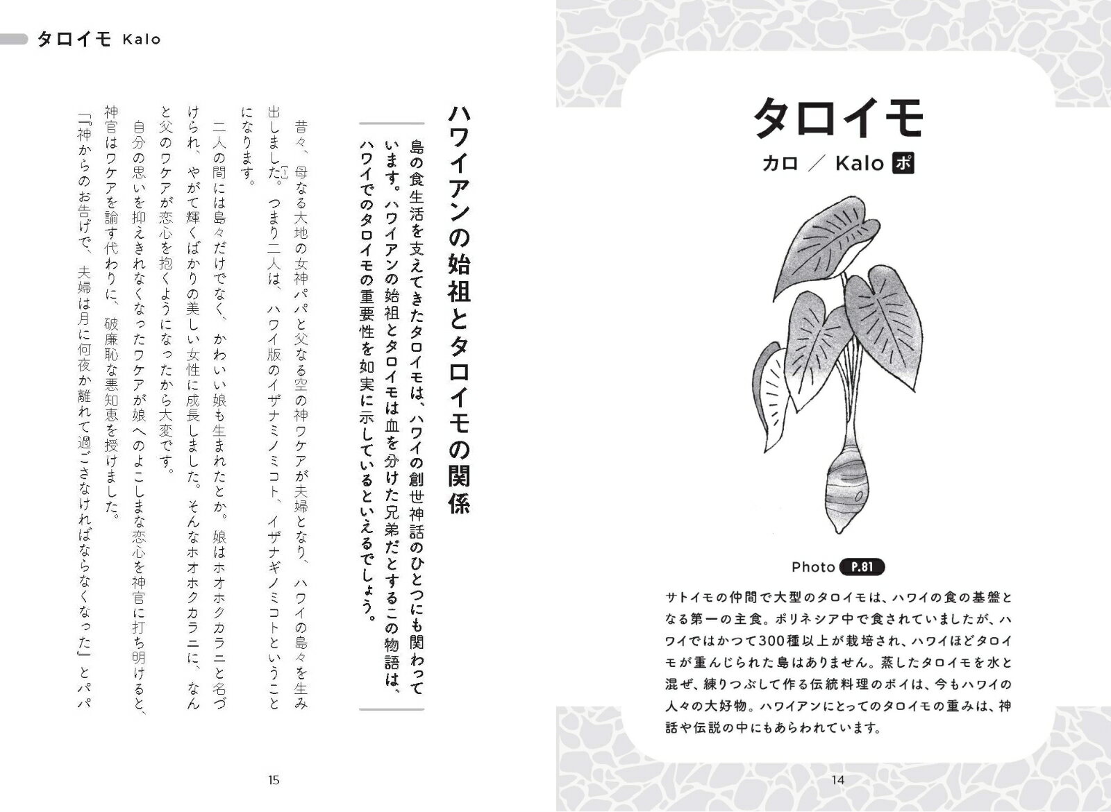 植物でめぐるハワイの神話 楽園の草花と木々に宿る45のおはなし [ 森出　じゅん ] 3