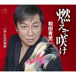 和田青児モエテサケ ワダセイジ 発売日：2016年11月02日 MOETE SAKE JAN：4988007277440 CRCNー8002 日本クラウン(株) 徳間ジャパンコミュニケーションズ [Disc1] 『燃えて咲け』／CD アーティスト：和田青児 CD 演歌・純邦楽・落語 演歌・歌謡曲