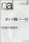 ガンマ線バースト （新天文学ライブラリー　5） [ 河合誠之 ]