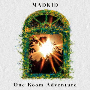 One Room Adventure MADKID