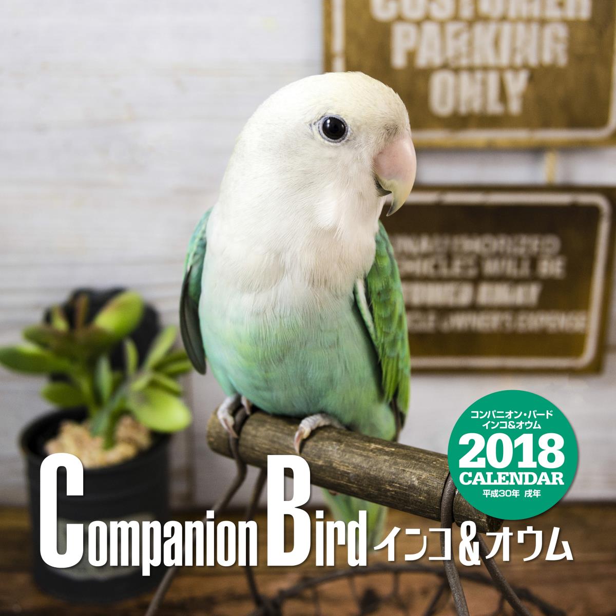 2018年大判カレンダー コンパニオン・バード インコ＆オウム