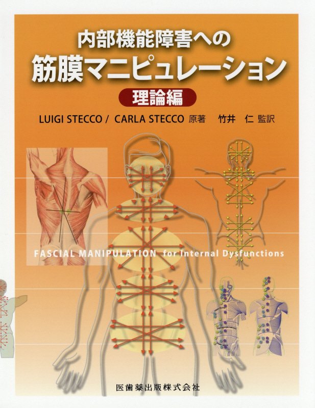 内部機能障害への筋膜マニピュレーション理論編