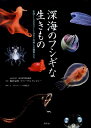 深海のフシギな生きもの 水深11000メートルまでの美しき魔物たち 