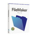 FileMaker Pro 16 HL2B2J/A