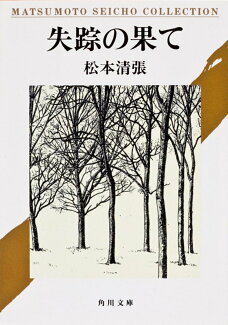 失踪の果ての表紙