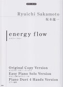 energy　flow