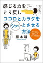 感じる力をとり戻しココロとカラダをシュッとさせる方法 わりばし＆輪ゴムのワークが効く！ [ 藤本靖 ]