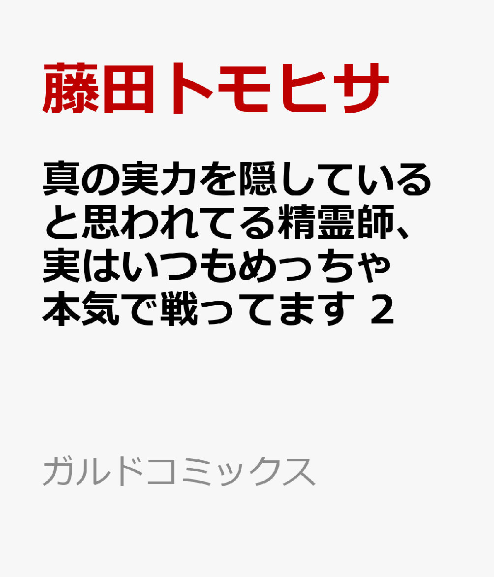 真の実力を隠していると思われてる精霊師、実はいつもめっちゃ本気で戦ってます 2 表紙