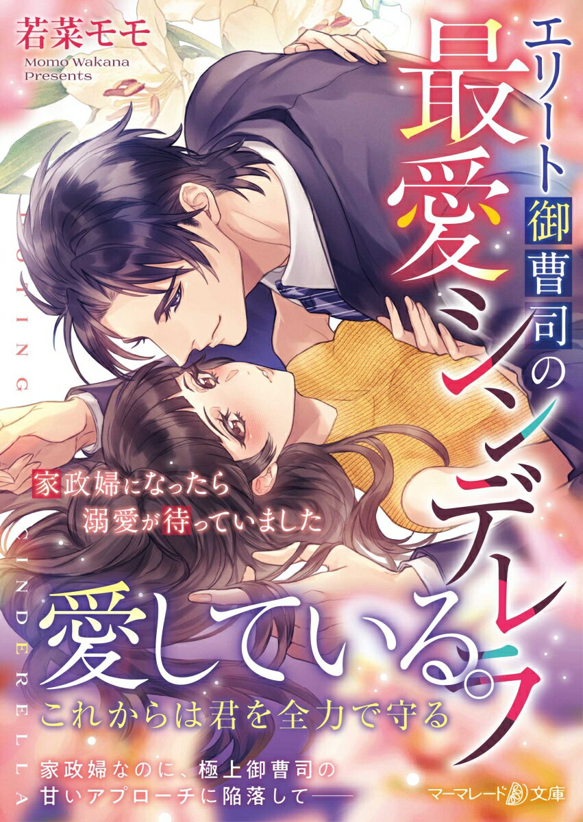 両親が残した借金を返すため、仕事を掛け持ちして歳の離れた弟を育ててきた真緒。弟の留学費用を捻出できず悩んでいたとき、ビル清掃の仕事で重役フロアの担当となり、副社長の黒瀬怜司と出会う。深夜のオフィスで交流を重ね惹かれあうふたり。怜司から家政府として同居を提案されるけど、真緒には怜司に言えない秘密があって！？