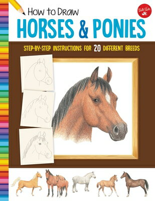 How to Draw Horses & Ponies: Step-By-Step Instructions for 20 Different Breeds HT DRAW HORSES & PONIES （Learn to Draw） [ Russell Farrell ]