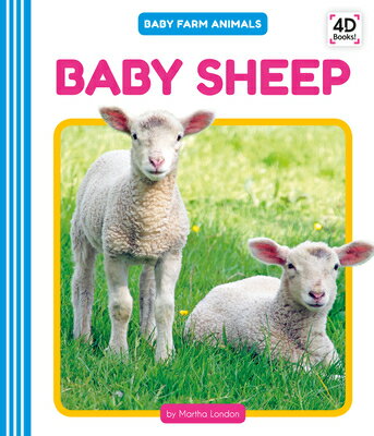 Baby Sheep BABY SHEEP Baby Farm Animals [ Martha London ]