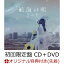 【楽天ブックス限定先着特典】航海の唄 (初回限定盤 CD＋DVD) (クリアファイル付き)