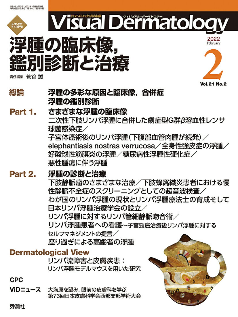 Visual　D．　2022年2月号　Vol．21　No．2