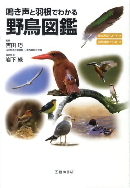 鳴き声と羽根でわかる野鳥図鑑 鳴き声QRコード付 [ 吉田巧 ]