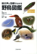 鳴き声と羽根でわかる野鳥図鑑