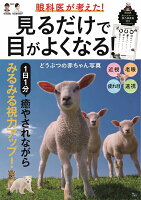 眼科医が考えた!見るだけで目がよくなる!どうぶつの赤ちゃん写真