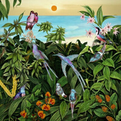 【輸入盤】Sketches From An Island 2