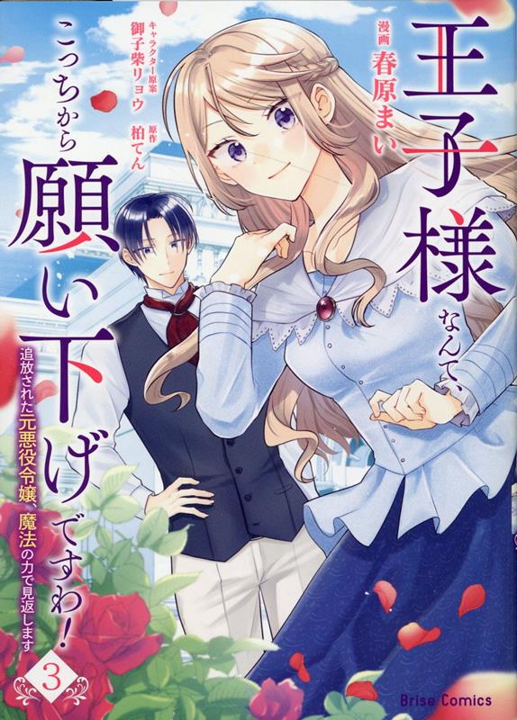 王子様なんて、こっちから願い下げですわ！ 〜追放された元悪役令嬢、魔法の力で見返します〜 3