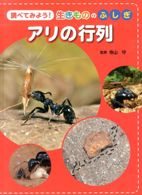 アリの行列