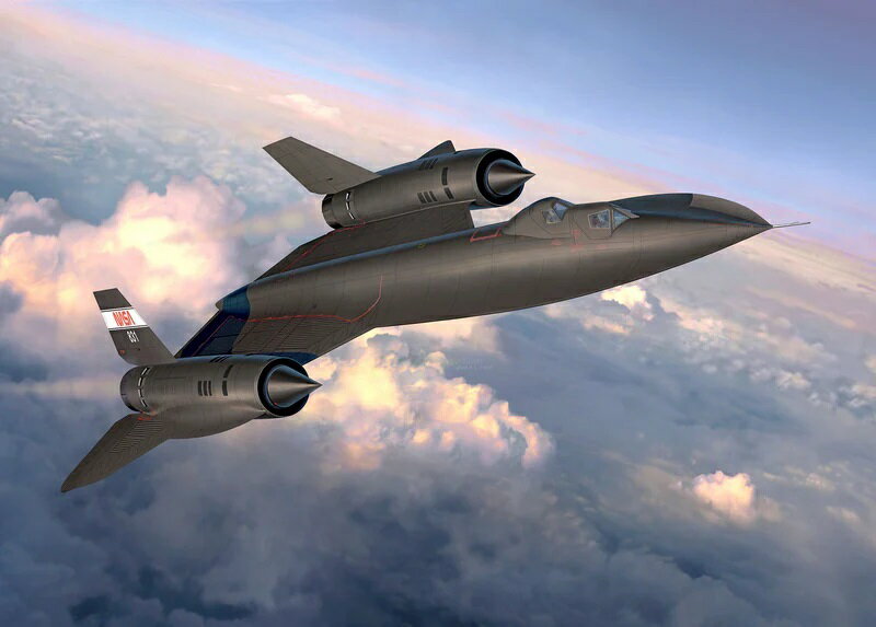 1/48 ロッキード SR-71B ブラックバード 【03751】 (プラモデル)