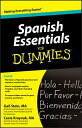 Spanish Essentials for Dummies SPANISH ESSENTIALS FOR DUMMIES （For Dummies） Gail Stein