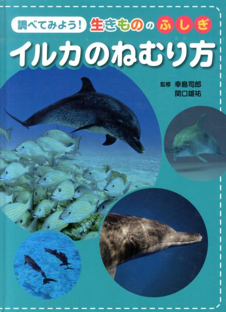 イルカのねむり方 （調べてみよう！生きもののふしぎ） [ 幸島司郎 ]