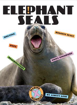 Elephant Seals ELEPHANT SEALS （X-Books: Marine Mammals） [ Ashley Gish ]