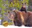 Born Wild 2: In Yellowstone and Grand Teton National Parks BORN WILD 2 [ Stephen C. Hinch ]