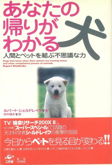 【バーゲン本】あなたの帰りがわかる犬