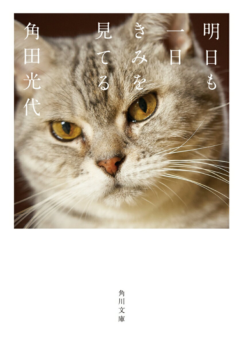 一軒家に引越した角田さん。誇らしげに虫を取るトトちゃん、茶トラや黒猫ら新しい猫達との交流、「ふみふみさせろ」という長く強い声、一度干したら寝てくれなくなった毛布……大人気フォトエッセイ第2弾！
引っ越しと猫タワー事件
自信と誇りの虫事件
猫テレビとプレゼント事件
外猫一号と腰痛事件
外猫たちと台風事件
鉢合わせと最大事件（前編）
鉢合わせと最大事件（後編）
猫プライドと神隠し事件
猫ベッドと毛布事件
とらちゃんとはげ事件
家飲みとハム事件
加齢とカツアゲ事件
病院と絶叫事件
カナブン祭りとプライド事件
猫小屋と新キャラ事件
トラ男その後と珍獣事件
パンデミックと新技事件
かわいさと破壊行動事件
空中散歩と不可解事件
暗闇とカバー事件
宿命と猫界革命事件
猫年齢と若返り事件
猫毛と私の毛事件
耳掃除と腹下し事件
あとがき
文庫版あとがき