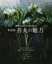 植物のあるがままの姿を生かす　草花屋・苔丸の魅力