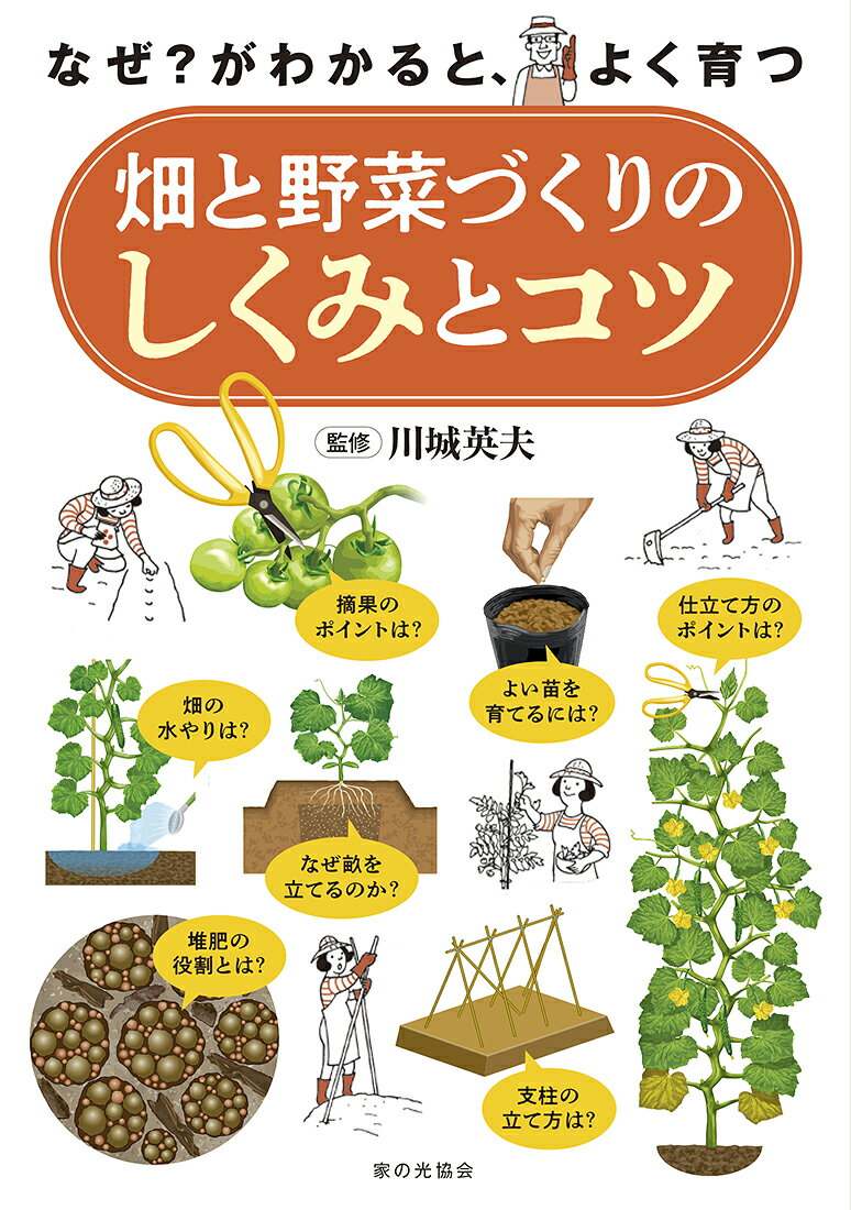 楽天楽天ブックス畑と野菜づくりのしくみとコツ なぜ？がわかると、よく育つ [ 川城 英夫 ]