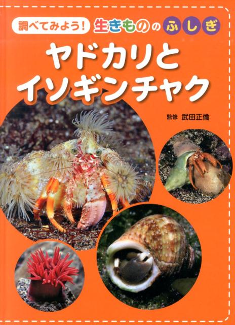 ヤドカリとイソギンチャク （調べてみよう！生きもののふしぎ） 