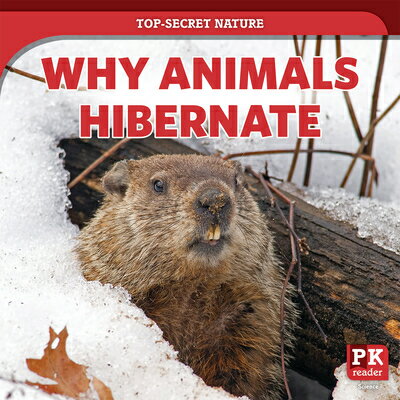 Why Animals Hibernate WHY ANIMALS HIBERNATE （Top-Secret Nature） 