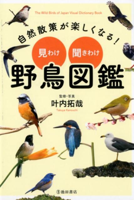 自然散策が楽しくなる！　見わけ・聞きわけ　野鳥図鑑 [ 叶内 拓哉 ]