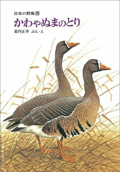 かわやぬまのとり