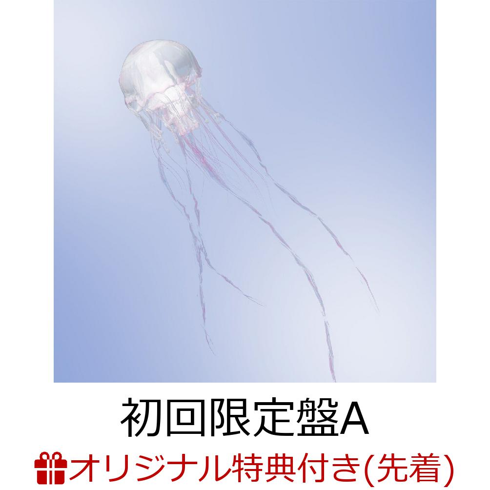 2023年8月21日になんばHatchにて開催された結成17周年記念イベントで
「同一メンバーによる最長活動ロックバンド（女性）」としてギネス世界記録に認定されたSCANDALが、
約2年ぶり、11枚目となるオリジナルアルバムをリリース。