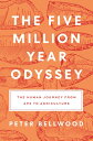 5ーMILLIONーYEAR ODYSSEY Peter Bellwood PRINCETON UNIV PR2022 Hardcover English ISBN：9780691197579 洋書 Computers & Science（コンピューター＆科学） Science