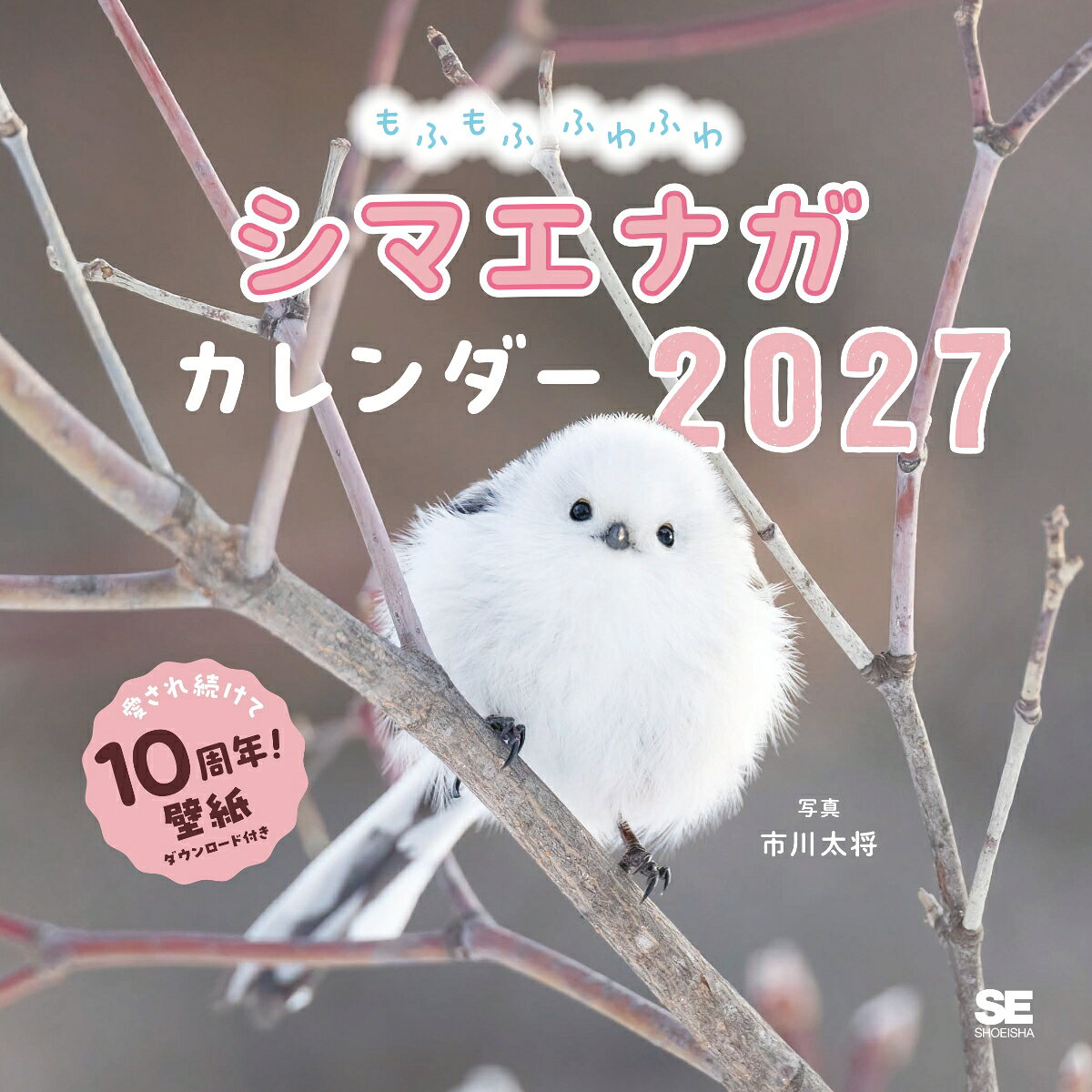 楽天市場】シマエナガ カレンダー（カレンダー｜本・雑誌・コミック
